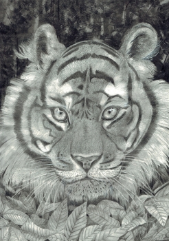 Blogs: king of the jungle